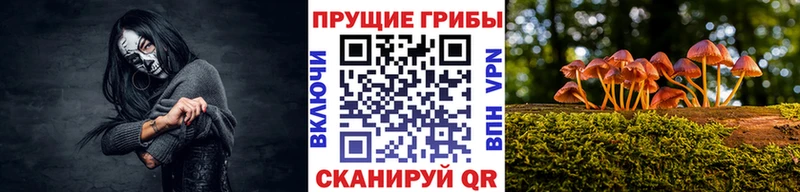 Галлюциногенные грибы Psilocybine cubensis  ссылка на мегу сайт  Юхнов 